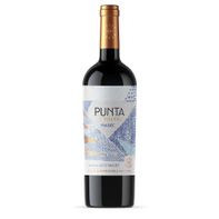 PUNTA DE FLECHAS MALBEC 750ML