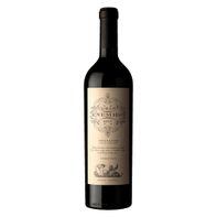 EL GRAN ENEMIGO CABERNET FRANC CHACAYES