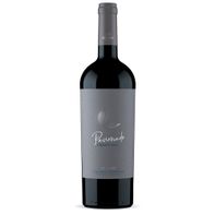 ANDELUNA PASIONADO CABERNET FRANC 750ML